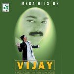 Mega Hits Of Vijay