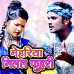 Mehariya Milal Fuhari