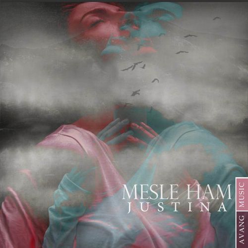 Mesle Ham_poster_image