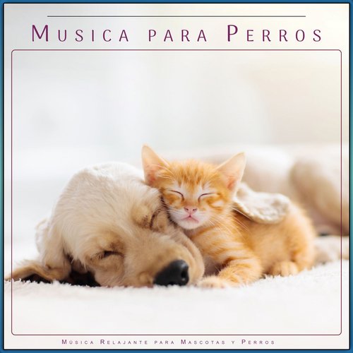 Música para Perros cover art