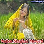 Najim Singhal Mewati