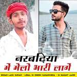 Narbdiya Me Melo Bhari Lage