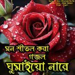 O Mon Ghumaio Na Re - Cute Voice - Male Version