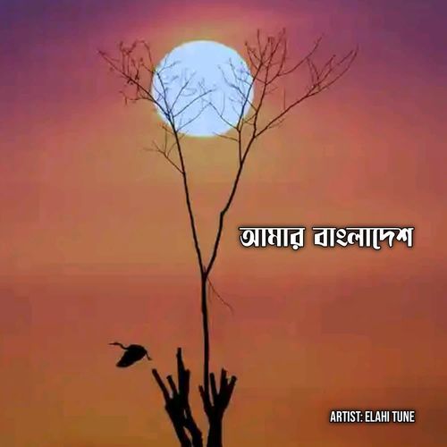 আমার বাংলাদেশ