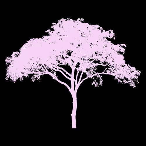 Pink Tree_poster_image