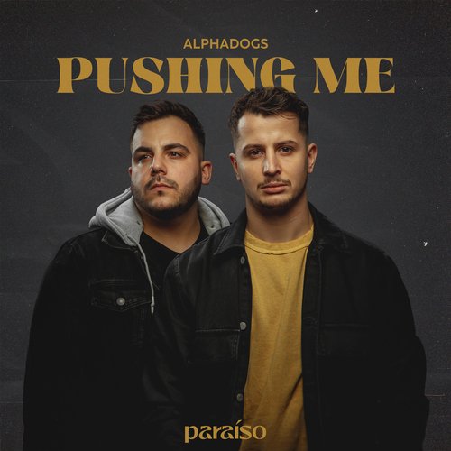 Pushing Me_poster_image