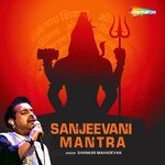 Sanjeevani Mantra artwork