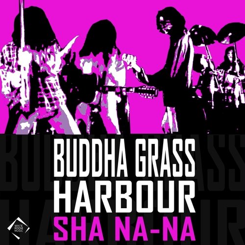 Sha Na-Na cover art