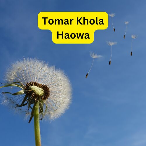 TOMAR KHOLA HAOWA