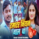 Tamatar Niyan Gaal Ba