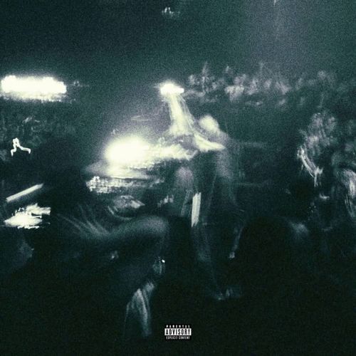 Bando Freestyle