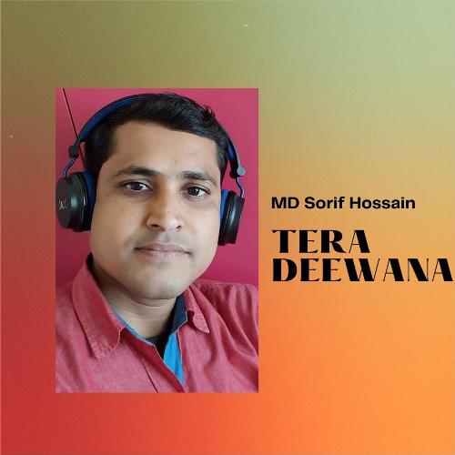 Tera Deewana_poster_image