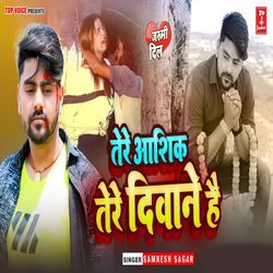 Tere Aashiq Tere Diwane Hai