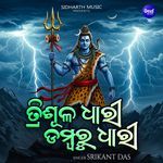 Trisuladhari Dambarudhari