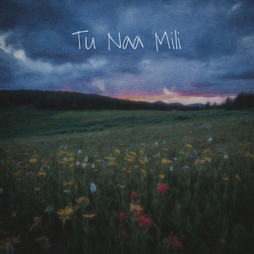 Tu Naa Mili