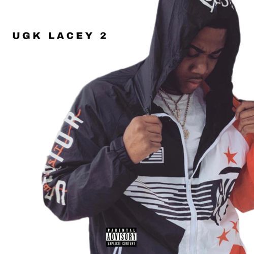 LEGOS cover art