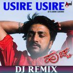 Usire Usire (DJ Remix)