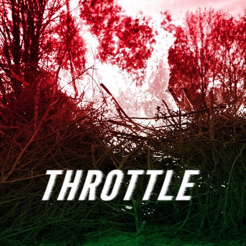 throttle