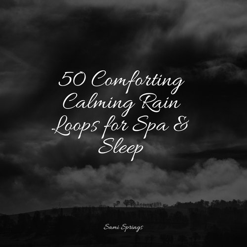 50 Comforting Calming Rain Loops for Spa &amp; Sleep_poster_image