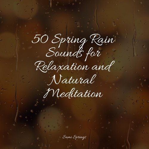 50 Spring Rain Sounds for Relaxation and Natural Meditation_poster_image