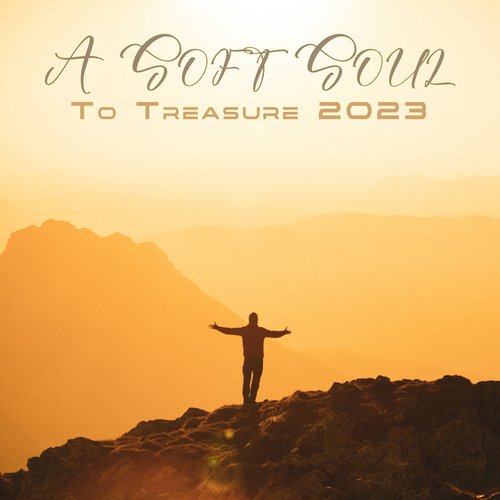 A Soft Soul To Treasure 2023: Emotional New Age Senses, The Natural Climax Of Life_poster_image