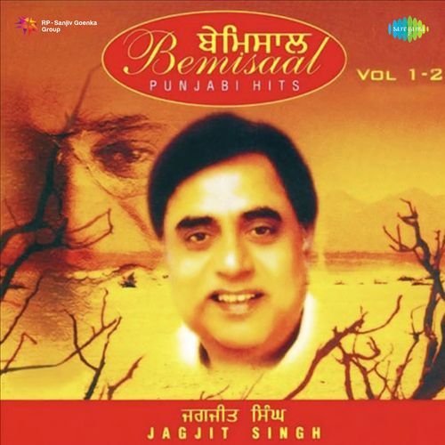 Bemissal Jagjit Singh Vol - 2