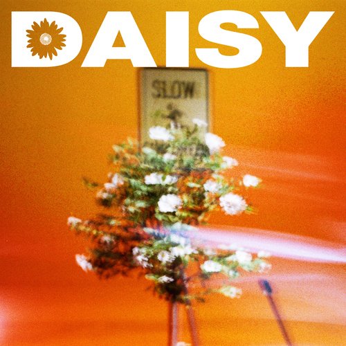 Daisy_poster_image