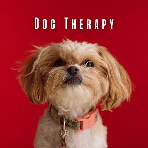 Dog Therapy: Chill Music for Stress Relief