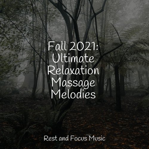 Fall 2021: Ultimate Relaxation Massage Melodies_poster_image