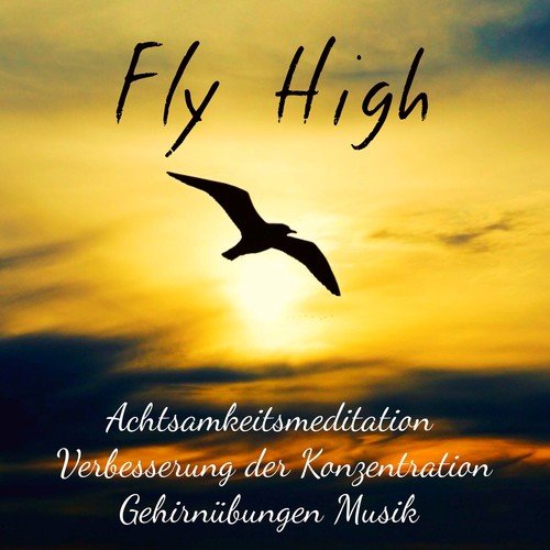 Fly High - Achtsamkeitsmeditation Verbesserung der Konzentration Gehirnübungen Musik mit Binaurale New Age Natur Geräusche_poster_image