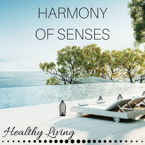 Harmony of Senses: Emotional Positive Music for the Day for Lullaby, Soothing Sounds for Mom and Baby, Healthy Living_poster_image