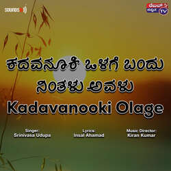 Kadavanooki Olage-QF5YVixab3c