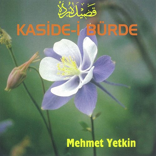 Seyreyleyüp Yandım cover art
