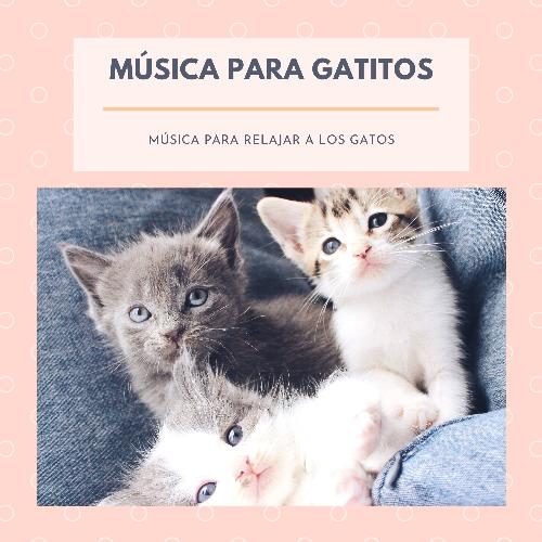 Musica de Piano cover art
