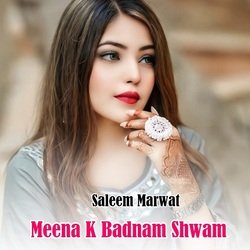 Meena K Badnam Shwam-ICUZeR4IAwA