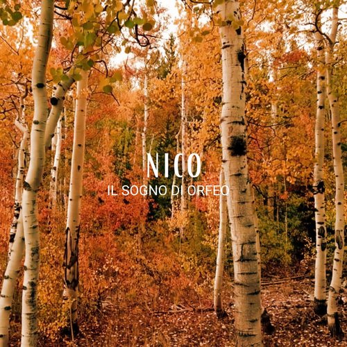 Nico cover art