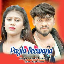 Pagla Deewana-PDpdST94cnk