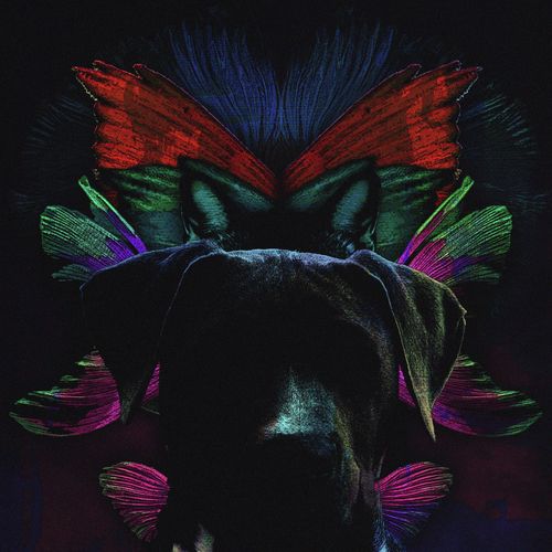 Spirit Lights cover art