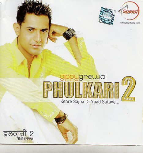 Phulkari 2