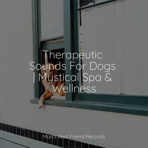 Focused, Relaxed cover art
