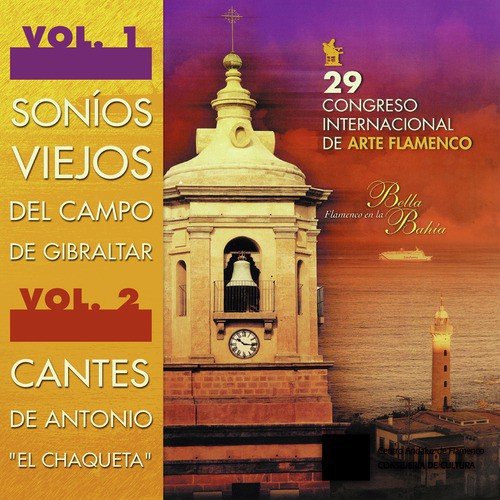 Siguiriyas: Siempre por los Rincones cover art