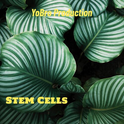 Stem Cells cover art