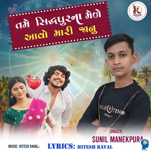 Tame Sidhhpurna Mele Aavo Mari Janu