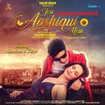 Teri Aashiqui Mein (Instrumental) artwork