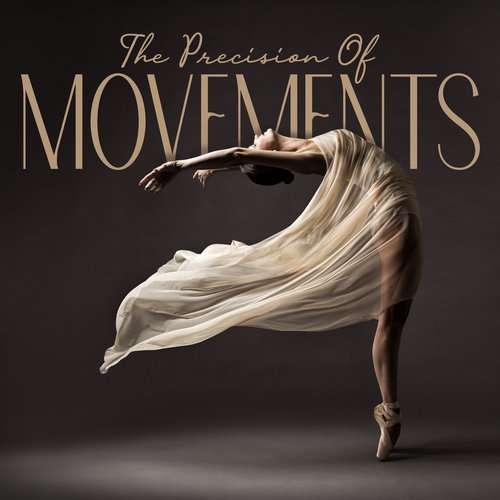 The Precision Of Movements