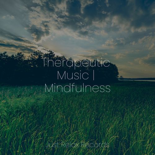 Therapeutic Music | Mindfulness_poster_image