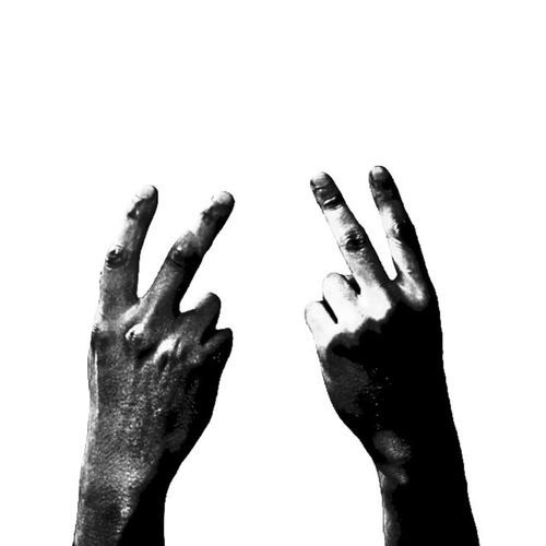 fila cover art