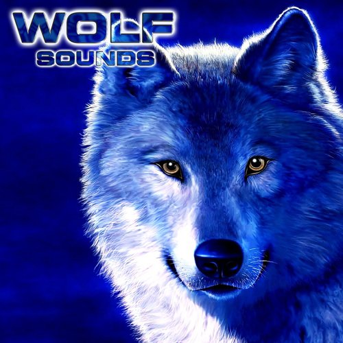 Wolves Sounds Ambience (feat. National Geographic Nature Sounds, National Geographic Soundscapes, Relaxing Nature Sound, Soothing Sounds & White Noise Ambience)