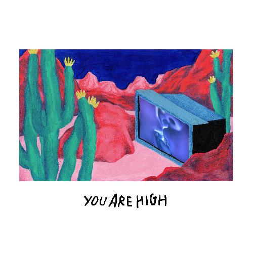 You&#039;re High_poster_image