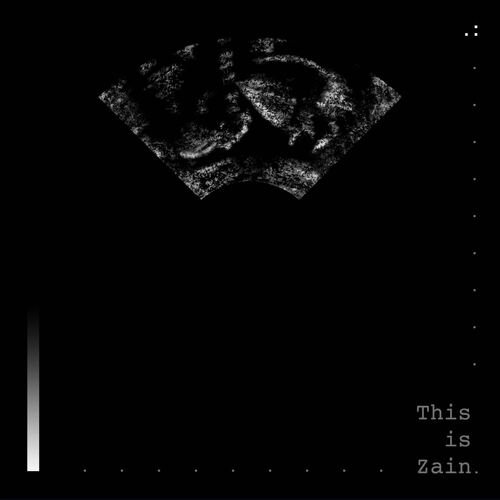 ZAIN (feat. 桑布伊) cover art